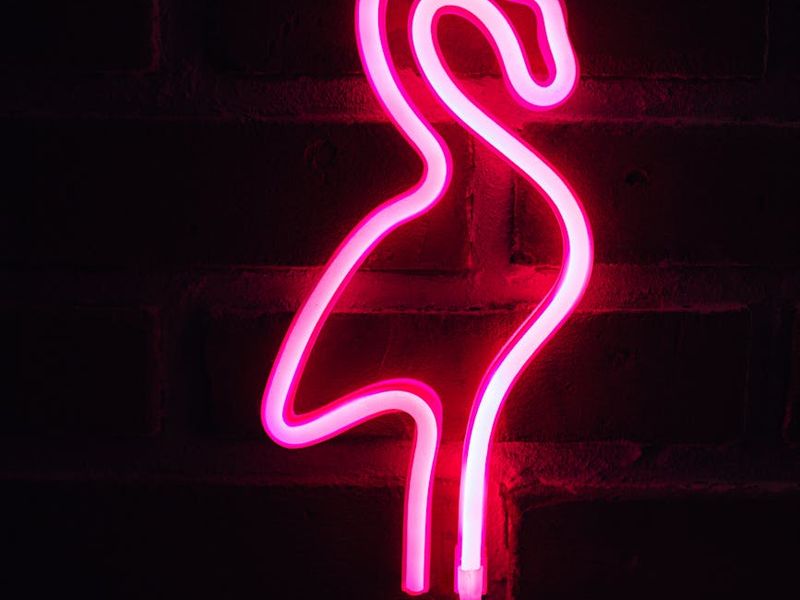 Minimalist yoga studio with neon pink light on walls.